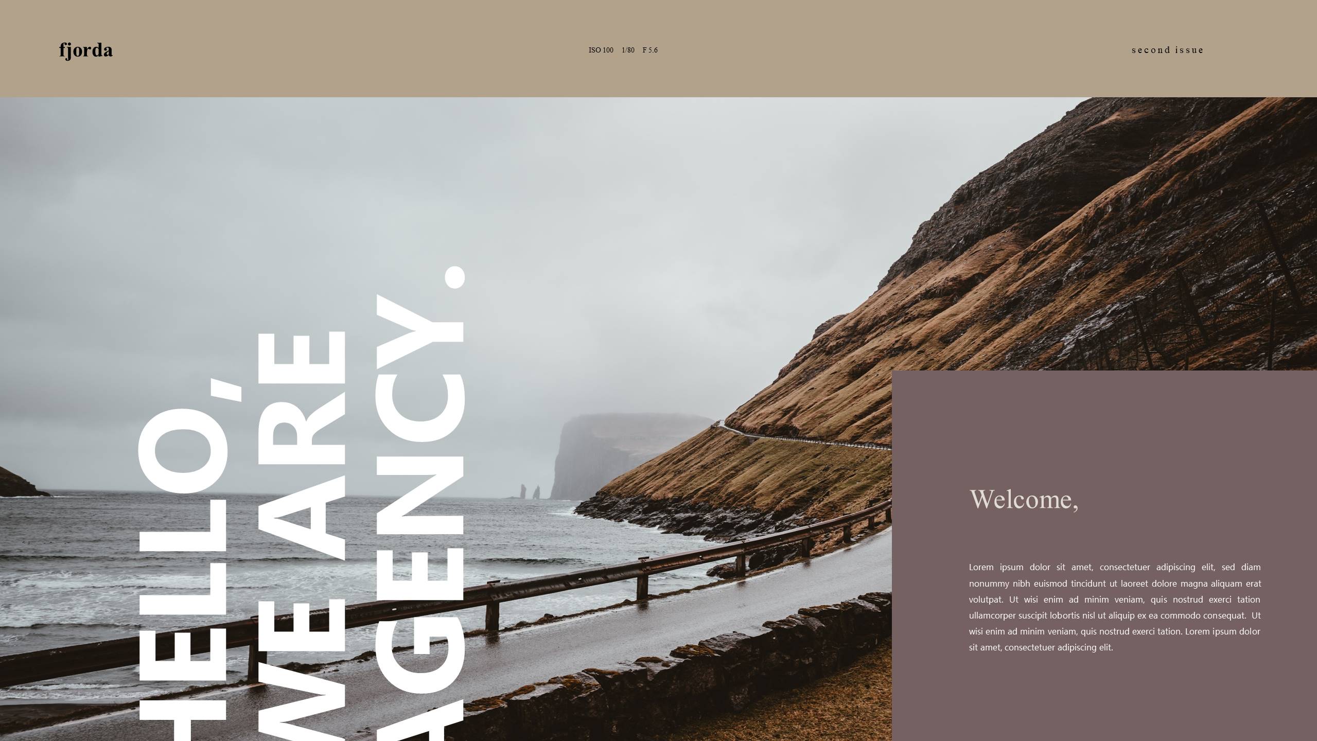 时尚风格 (5).pptx